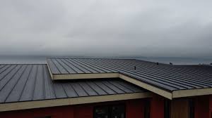 Steel Roofing in Fraser, MI